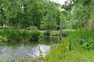 Afbeelding Krommerijnpark   