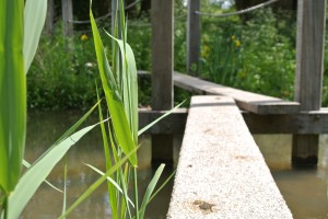 Afbeelding Krommerijnpark   