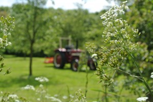 Afbeelding Krommerijnpark   