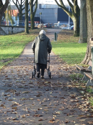 Afbeelding Krommerijnpark                         